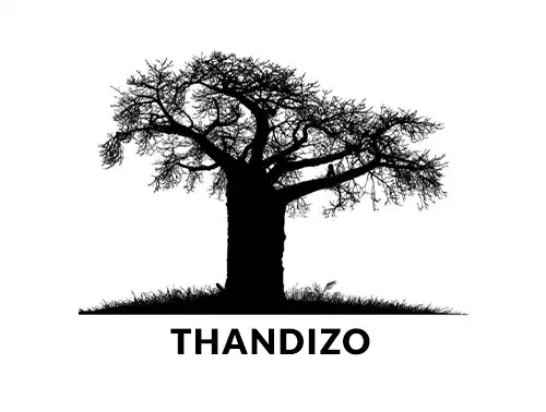 Thandizo logo